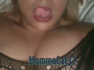 MommaCat37