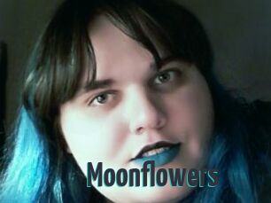 Moonflowers
