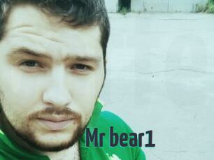 Mr_bear1