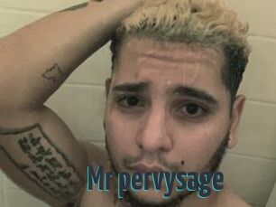 Mr_pervysage