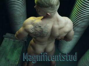 Magnificentstud