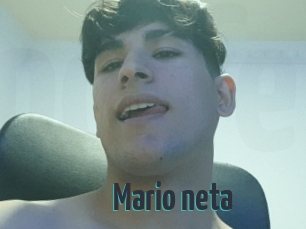 Mario_neta