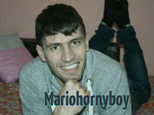 Mariohornyboy