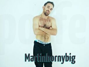 Martinhornybig