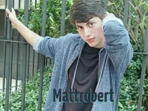 Mattrobert