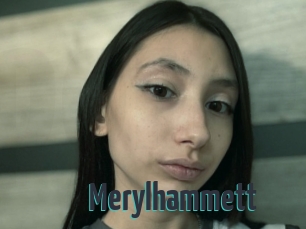 Merylhammett