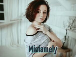 Miniamely