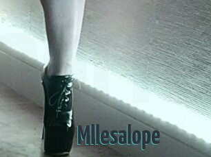 Mllesalope