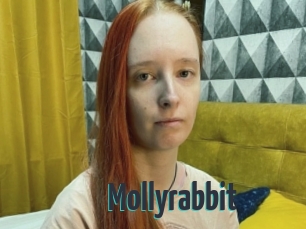 Mollyrabbit