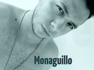 Monaguillo