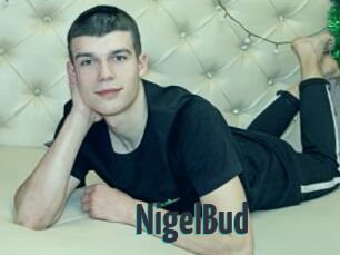 NigelBud