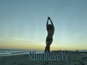 NinelRoseTs