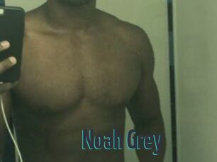 Noah_Grey