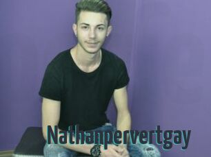 Nathanpervertgay