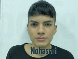 Nohascot