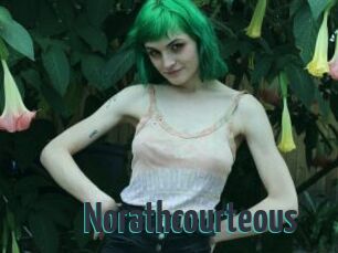 Norathcourteous