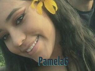 Pamela6 Porn Fellow