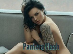 Pantera_Flash