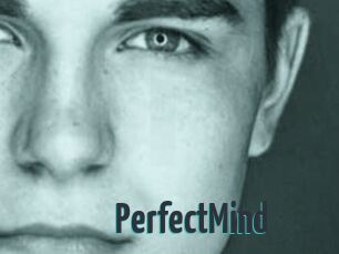 PerfectMind