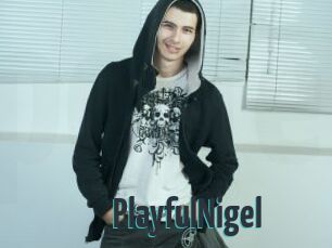 PlayfulNigel