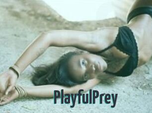 PlayfulPrey