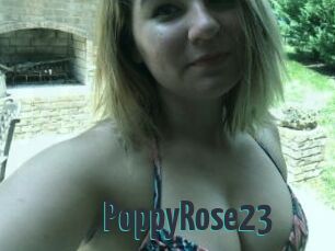 PoppyRose23