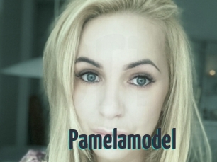 Pamelamodel