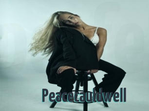 Peacecauldwell