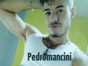 Pedromancini