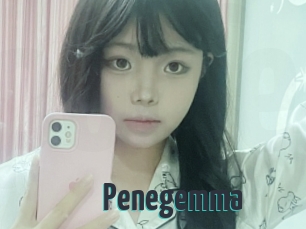 Penegemma