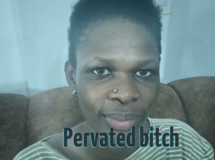 Pervated_bitch