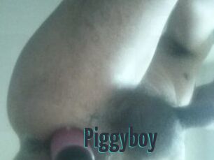 Piggyboy