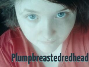 Plumpbreastedredhead