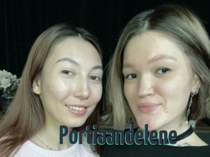 Portiaandelene