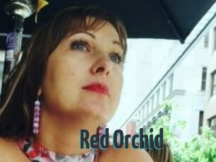 Red_Orchid