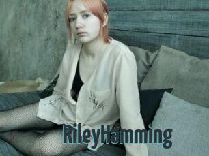 RileyHamming