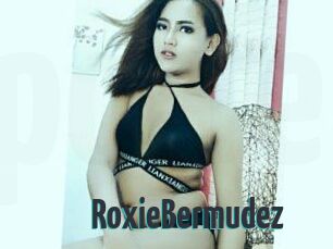 RoxieBermudez