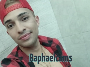 Raphaelcams