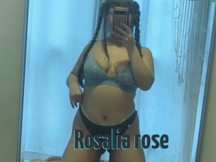 Rosalia_rose