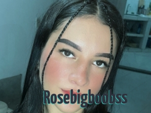 Rosebigboobss