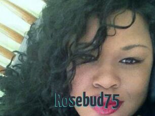 Rosebud75