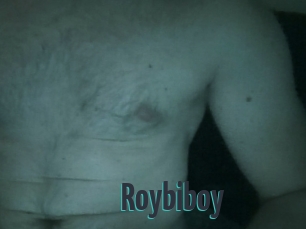 Roybiboy