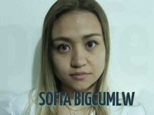 SOFIA_BIGCUMLW