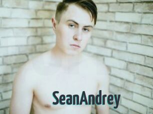 SeanAndrey