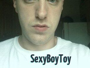 SexyBoyToy