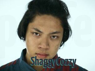 ShaggyCozzy