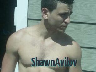 Shawn_Avilov