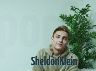 SheldonKlein