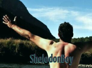 ShelodonBoy