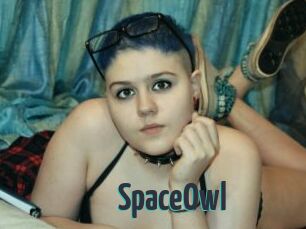 SpaceOwl